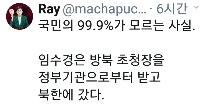  국민의 99.9％가 모르는 임수경 방북 관련 사실 (임종석 전실장님 페북)