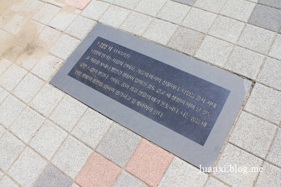 소금별 사진 4