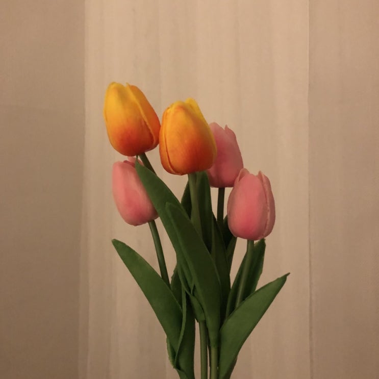  2019.05_ᴏɴᴇ