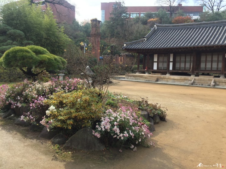  광주 양림동 2 [이장우가옥, 사직전망타워 外]