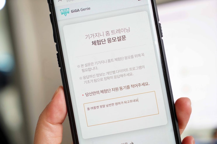  KT 기가지니 홈트, 홈트레이닝 뷰티 체험단, 42일간의 기적 가즈아!