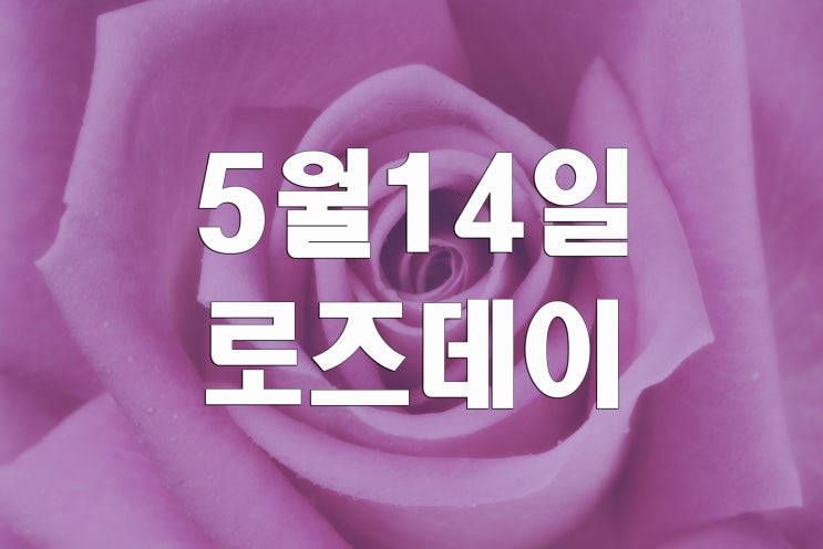  로즈데이선물? 이것부터 알아볼까요 로즈데이유래와 장미꽃말~