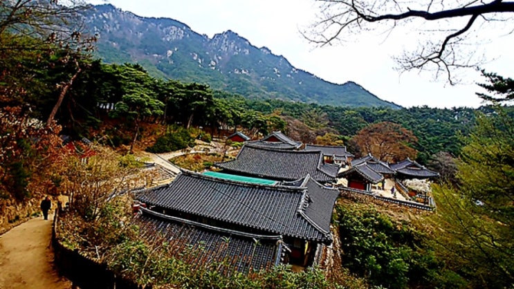  관룡사