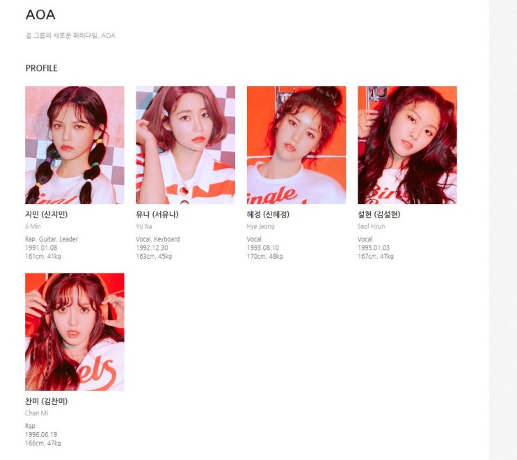  AOA 민아 탈퇴 AOA 5인 체제로 팀 유지
