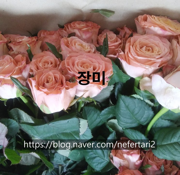  허브아가씨의 마음성장 원예치료 활동 - 나에게 주는 선물