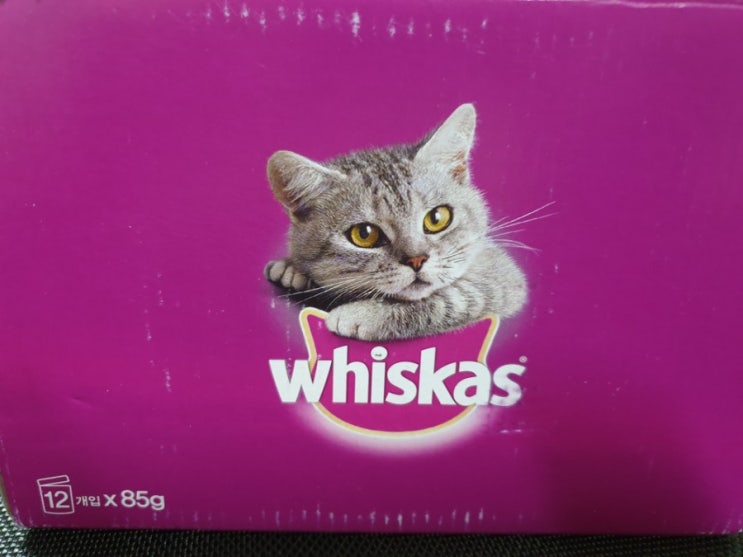 [위스카스] 고양이 습식사료 추천 ! (수분충전)