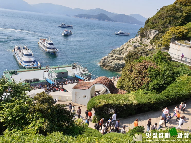  거제도 유람선타고 외도 보타니아 투어!