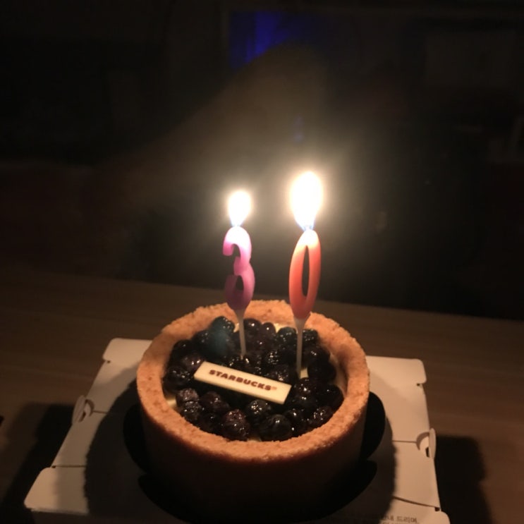  반려묘와 함께 하는 일상 @1월 생일파티, 스타벅스 치즈케이크, 북촌 한옥마을, 미술관 옆집, 집밥, 설날연휴, 셀기꾼