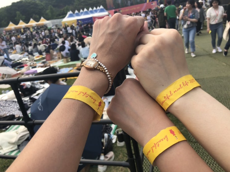  뷰티풀 민트 라이프 2019 ::  뷰민라 준비물, 주차, 5/12 라인업