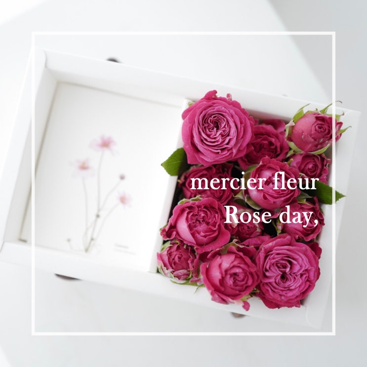  mercier fleur 메르시에 플레르 / 광명꽃집 광명역꽃집 소하동꽃집 일직동꽃집 하안동꽃집 / 로즈데이 상품안내