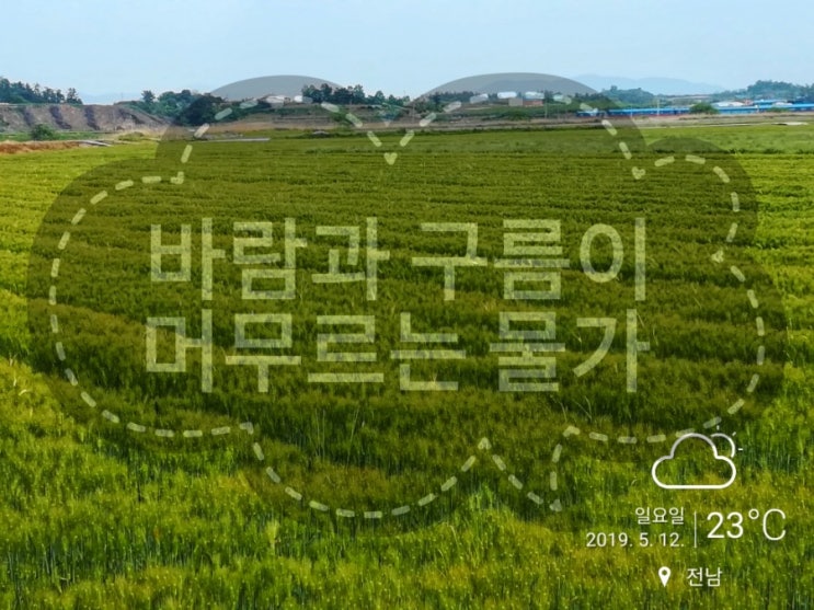  Spring Fishing 물가나들이 #부처님오신날 #빅원