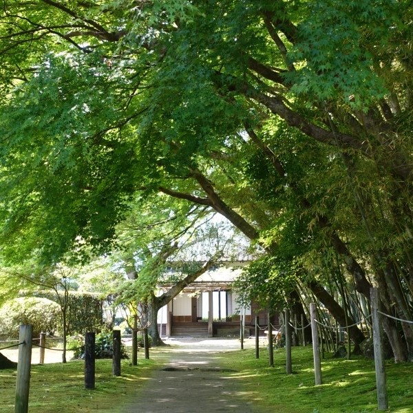  #190513 일본 미야자키 여행 2일차 - 미야자키 오비마을 飫肥城下町