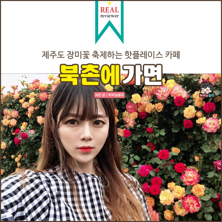  제주도 핫플레이스 북촌에가면 장미축제