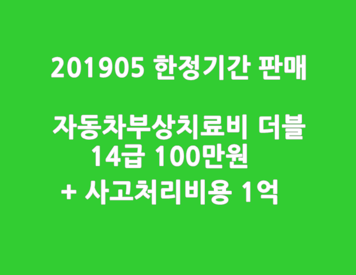  5월한정 자동차부상치료비 14급 1백만원, 교통사고 처리지원금 1억 더블플랜_메리츠운전자M-DRive1905