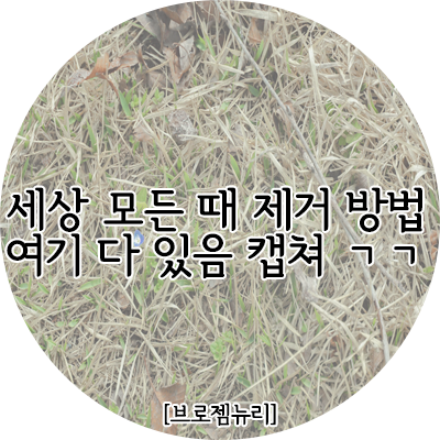  아기 옷에 묻은 얼룩 지우는 법, 각종 얼룩에 따른 제거 방법