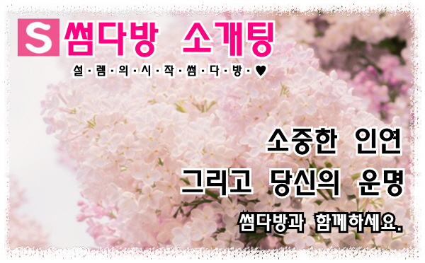 대전 청주 세종 소개팅매칭전문 썸다방소개팅 추천