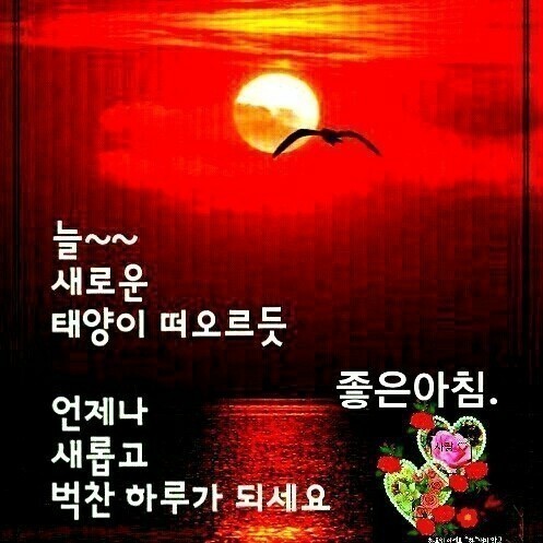  5월13일월요일