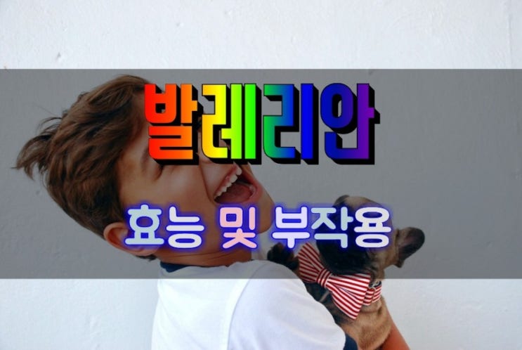  불안 불면증에 좋은 발레리안 효능 및 부작용 섭취량