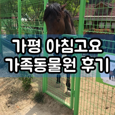  가평 아침고요가족동물원 아기와함께 후기