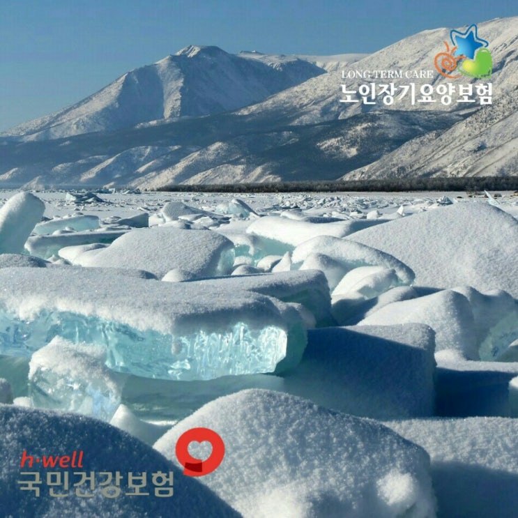  입주간병인 101가지 서비스내용 [입주요양보호사 안내]
