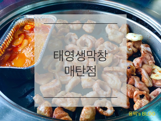  매탄동 맛집 ) 고소하고 쫄깃한 막창 최고 맛집, 태영생막창 매탄점