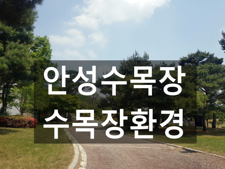  안성수목장 깨끗한 자연환경이 좋아요~