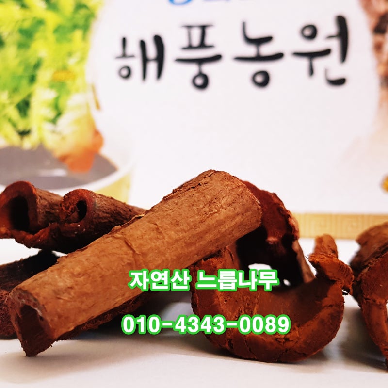 유근피의 효능을 알고 느릅나무 껍질 유근피차를 드세요. - 콧나무 파는 곳의 가격 10