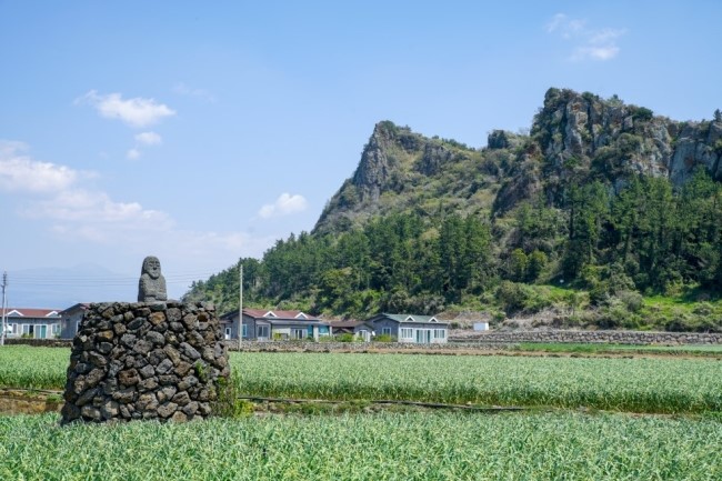  반짝반짝 빛나는 제주의 5월, 놓치지 말아야할 제주 관광 10선