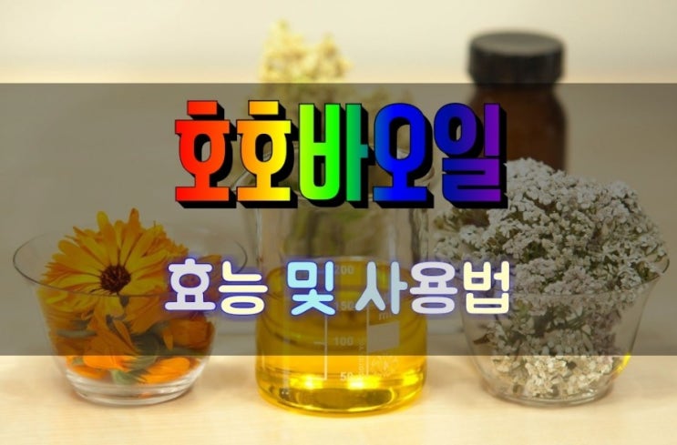  피부장벽 재생 호호바오일 효능 및 사용방법 10가지