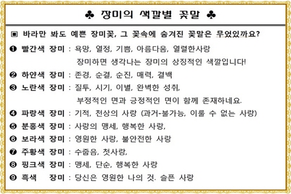  5월14일은 장미꽃으로 사랑을 전하는 "로즈데이(장미의 날)" 입니다.