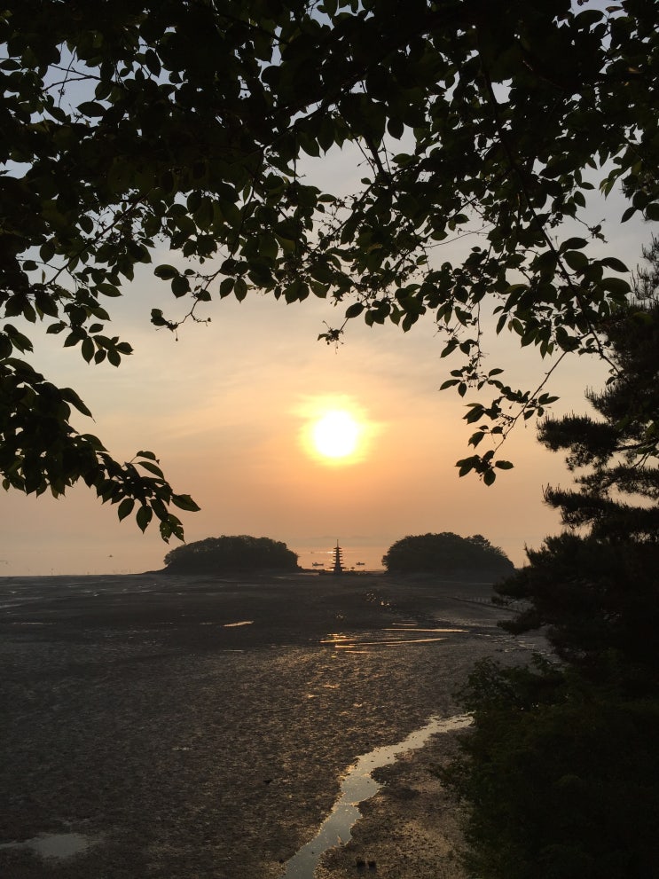  서해에서 보는 일출 - 안면암