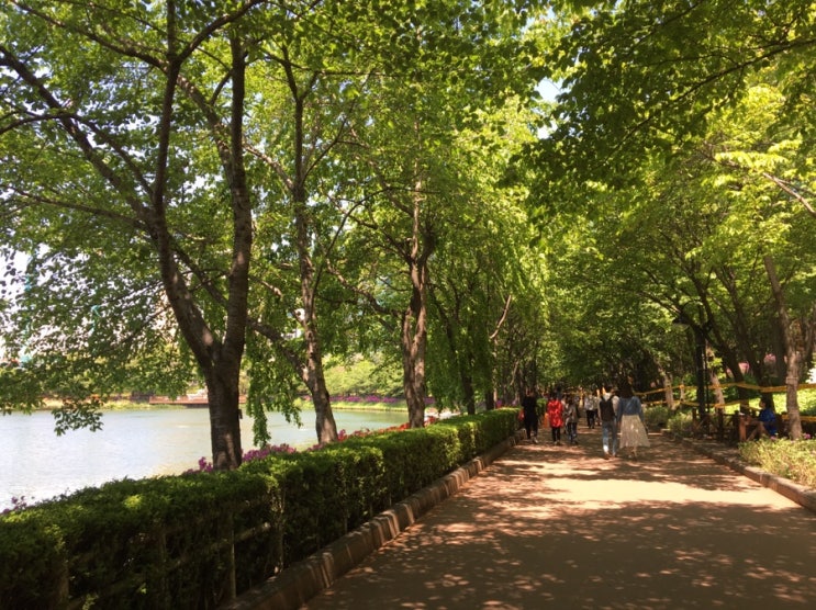  [일상]2019.05.01(수)-12(일)