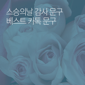 스승의날 문자 / 스승의날 문구 / 스승의날 카톡 / 스승의날 기념