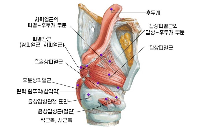 레오보컬스튜디오 이미지