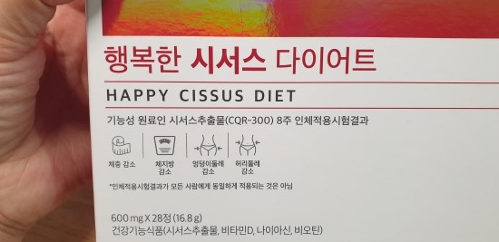  단기다이어트 이다희 다이어트  행복한 시서스 다이어트^^