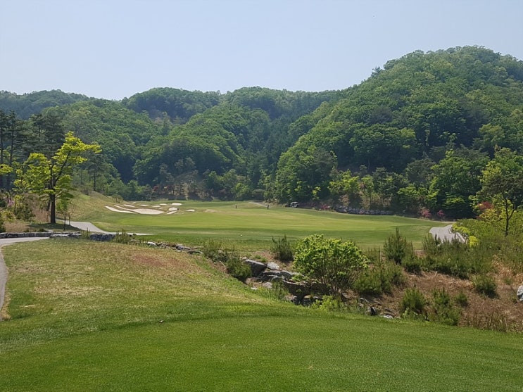  더플레이어스CC 라운딩후기