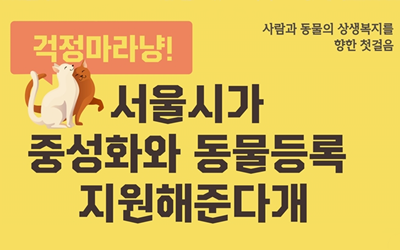 저소득층 반려동물의 동물등록과 중성화 수술을 무료로 지원합니다