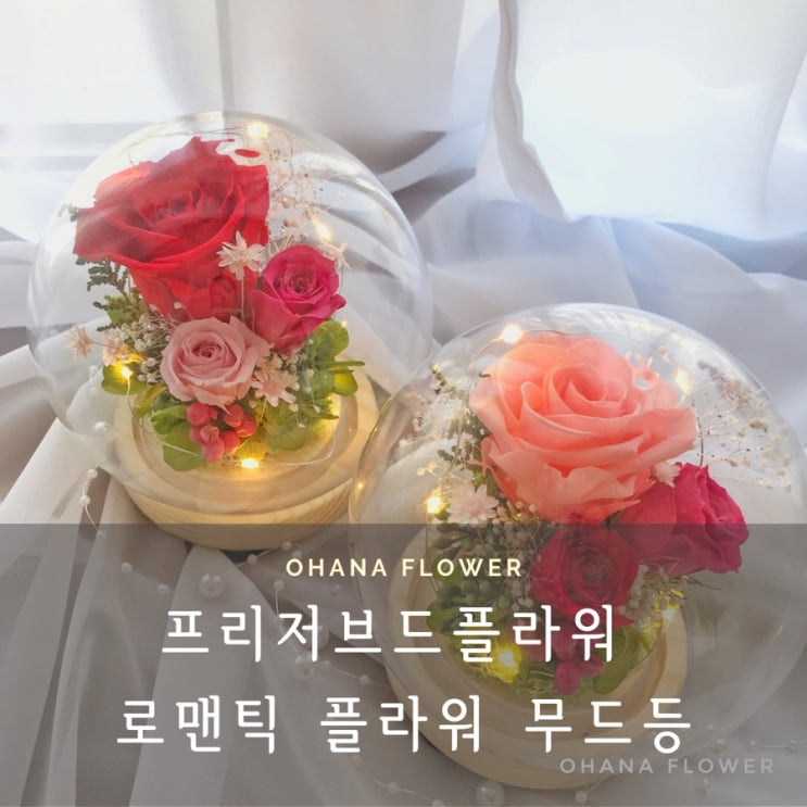  [부산프리저브드플라워] 동글동글 LED 로맨틱 장미 유리돔 무드등 / 부산 수영 광안 플라워레슨 프리저브드플라워 전문 공방 Ohanaflower