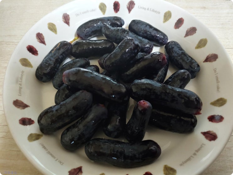  블랙사파이어포도 가지포도 효능 아시나요?