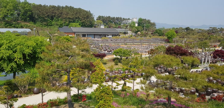  서해금빛열차여행(군산/선유도/철길/이성당)