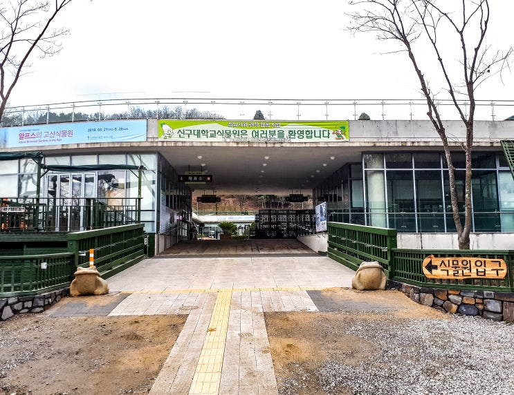  [경기 성남] 비가 살짝 내리던 날 신구대학교 식물원의 풍경사진.