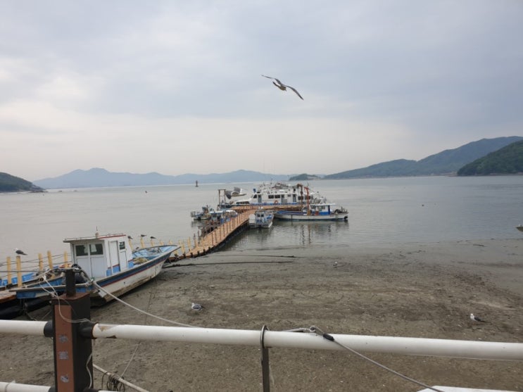  강화도 당일치기 먹방 여행 바다회마을  강화댁 외포항수산시장 충남서산집 대단한 하루를 보냈습니다^^