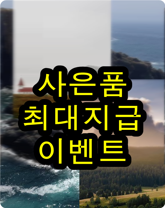 비데렌탈추천 대박쳤어요