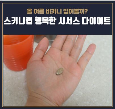  이다희 4주 다이어트 스키니랩 시서스 다이어트 시작합니다
