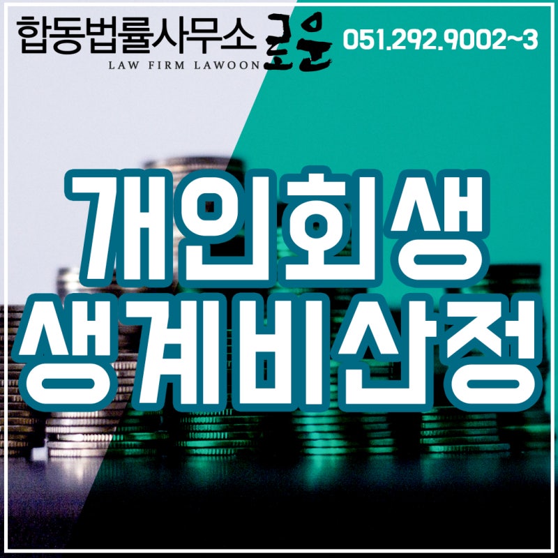 ● 개인회생 배우자 소득 달라지는 산정 기준