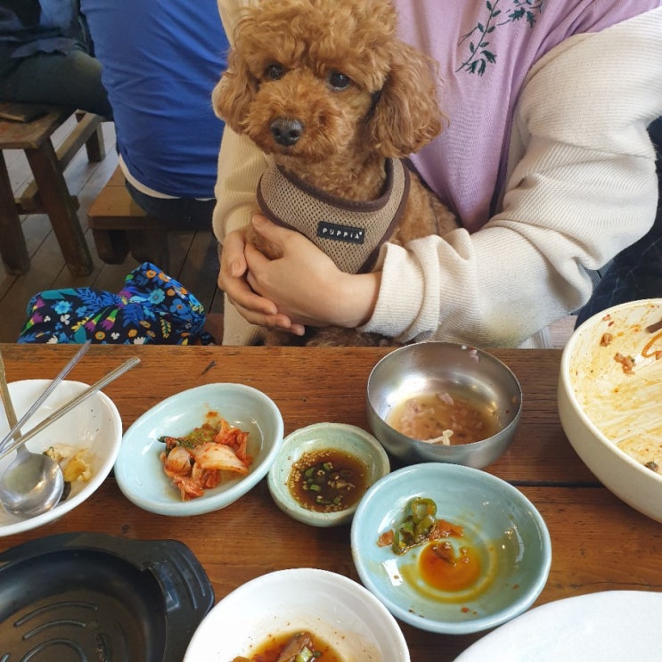 [강화맛집/강화애견동반] 동문식당 : 전등사 근처 풍경좋은 맛집