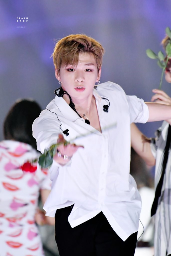  강다니엘, 오늘이 로즈데이라면서?