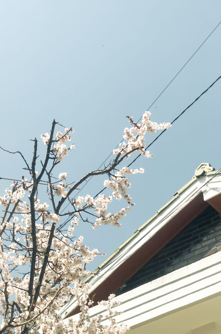  141작업실 기록.