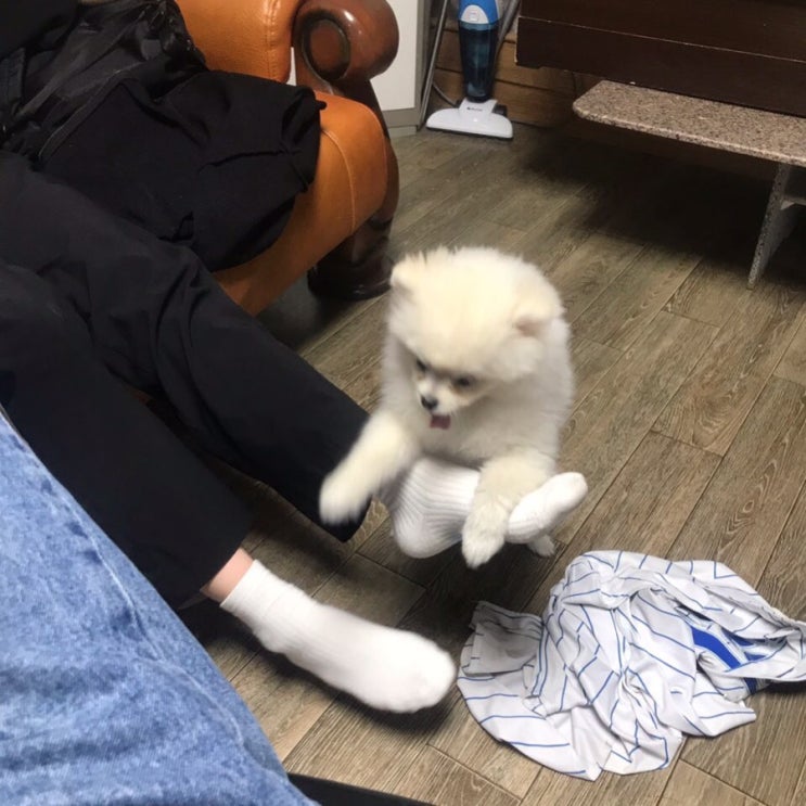  2019년 5월 셋째주