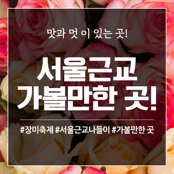  서울근교 가볼만한 곳! 장미축제 추천